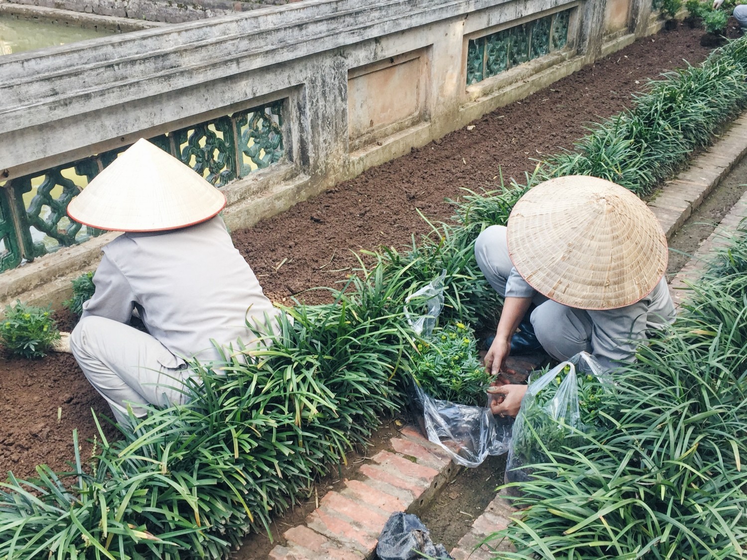 Vietnam fra nord til syd - Rundrejse i Vietnams hovedstad, Hanoi